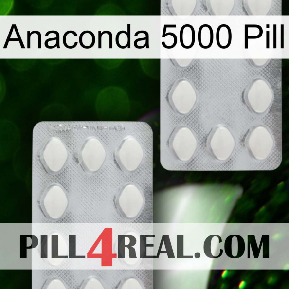 Anaconda 5000 Pill 17.jpg